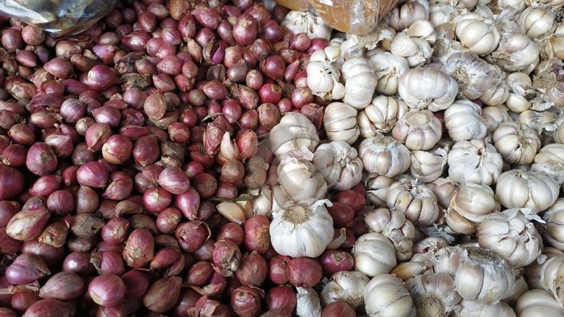 Jelang Nataru, Harga Bawang Merah dan Bawang Putih di Seluma Capai Rp40 Ribu per Kilogram