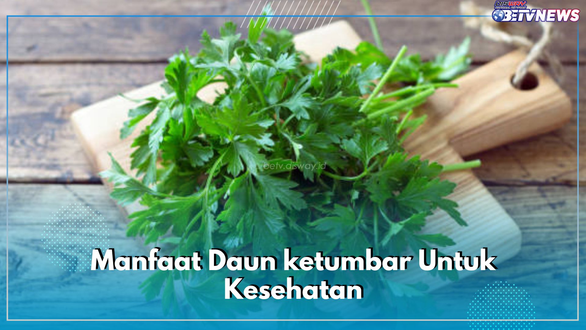 Cek Nutrisi dan Manfaat Daun Ketumbar untuk kesehatan, Dijamin 5 Masalah Tubuh Ini Ogah Mendekat