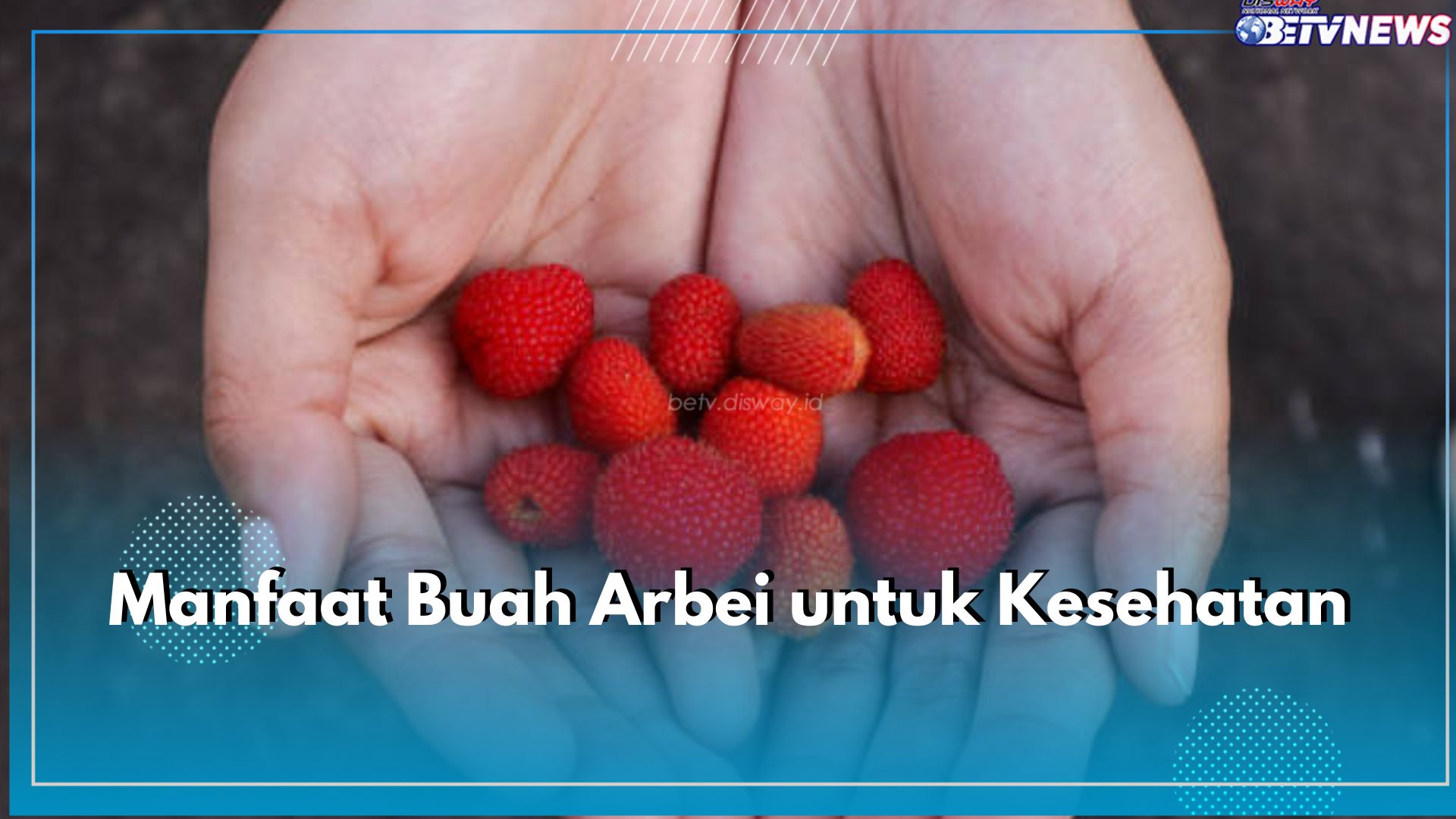 Dikenal sebagai Buah Liar, Ini Sederet Manfaat Buah Arbei untuk Kesehatan yang Perlu Kamu Ketahui