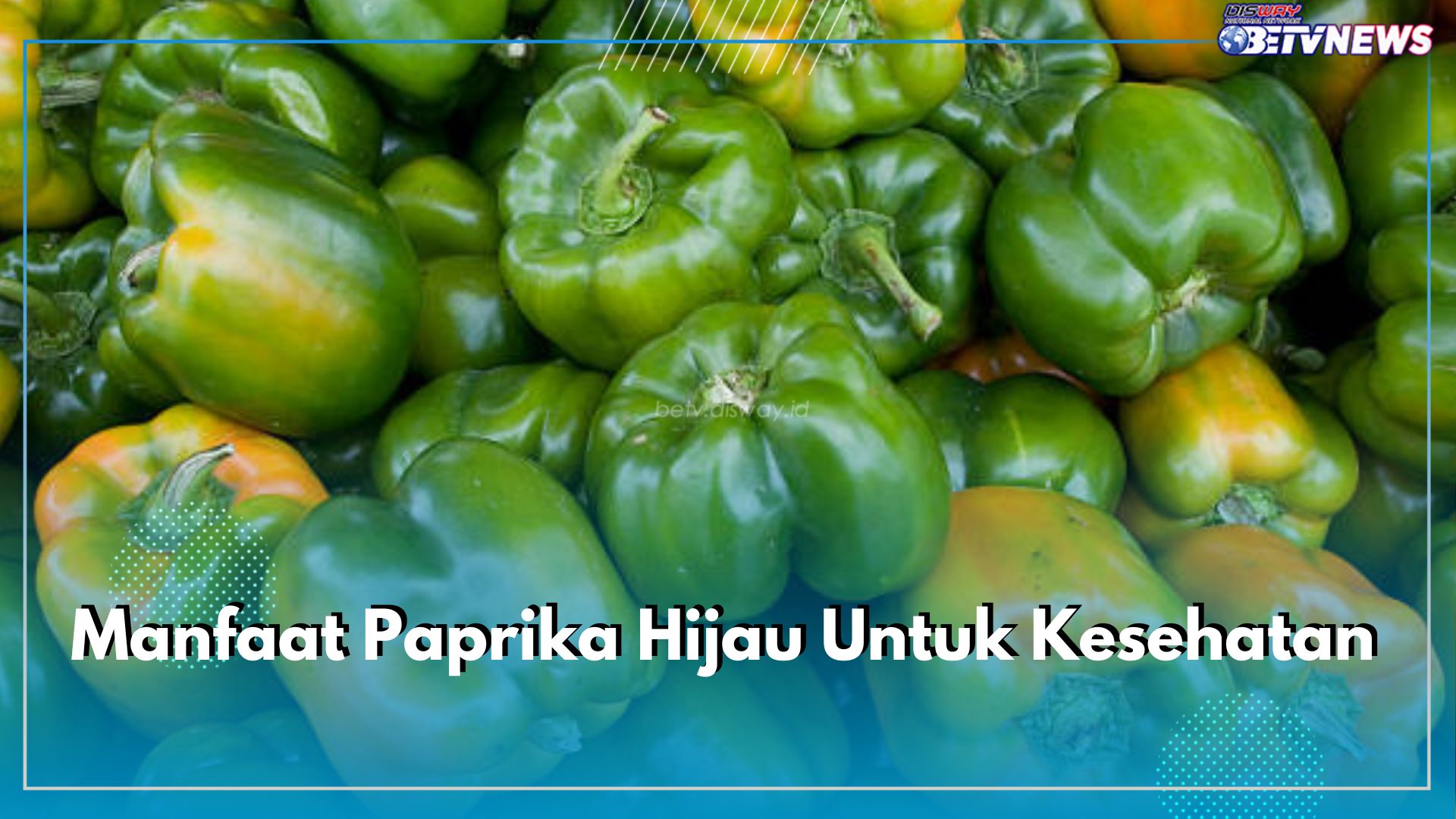 Kandungan Antioksidan Paprika Hijau Dapat Mencegah Kanker, Cek 9 Manfaat Lainnya untu Kesehatan