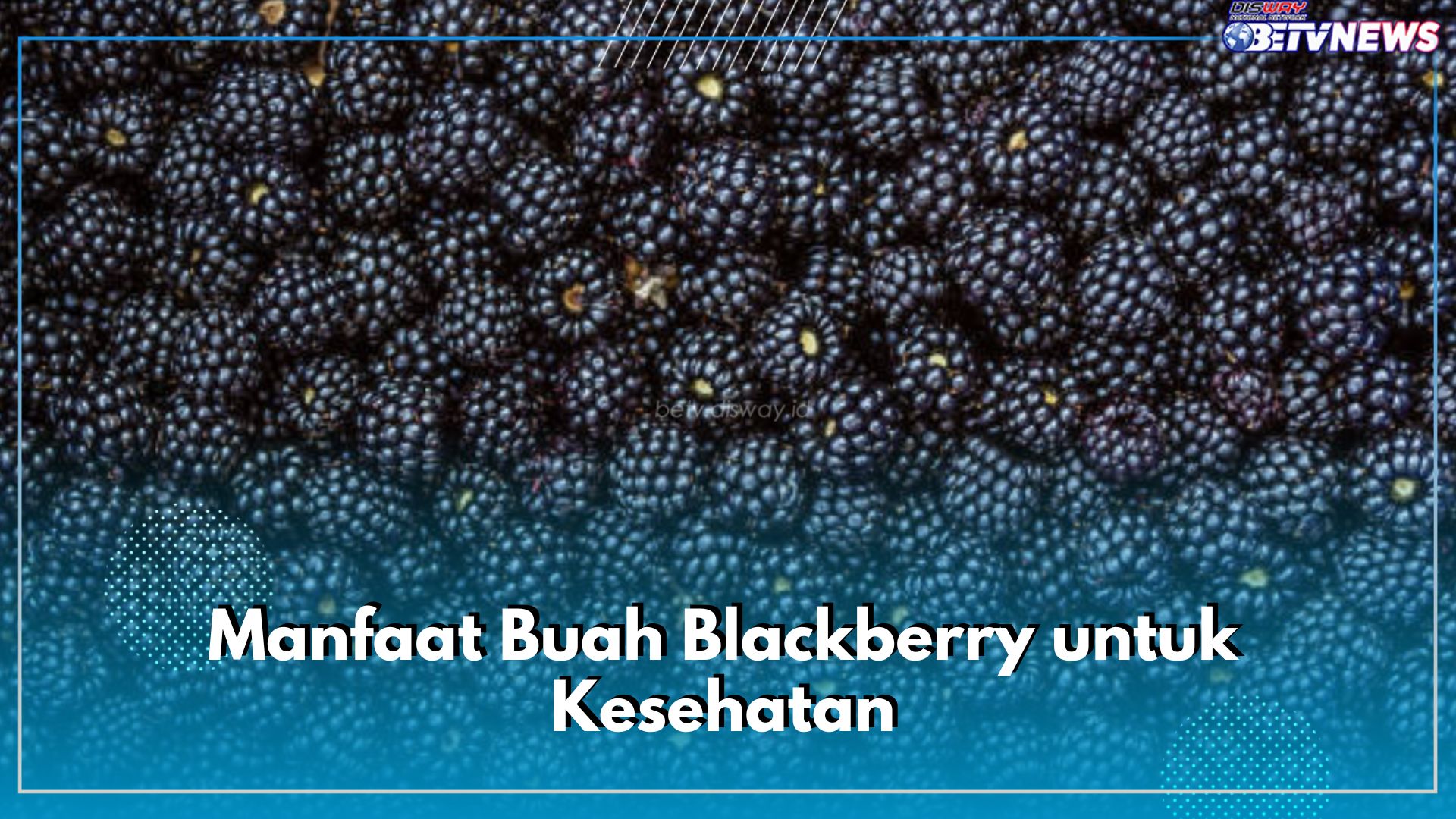 Mengurangi Risiko Kanker, Ini 7 Manfaat Buah Blackberry untuk Kesehatan, Cek di Sini