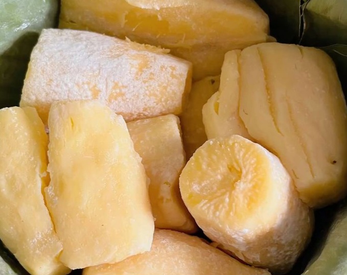 Lembut dan Legit Alami, Cara Membuat Tape Singkong Manis Tanpa Gula