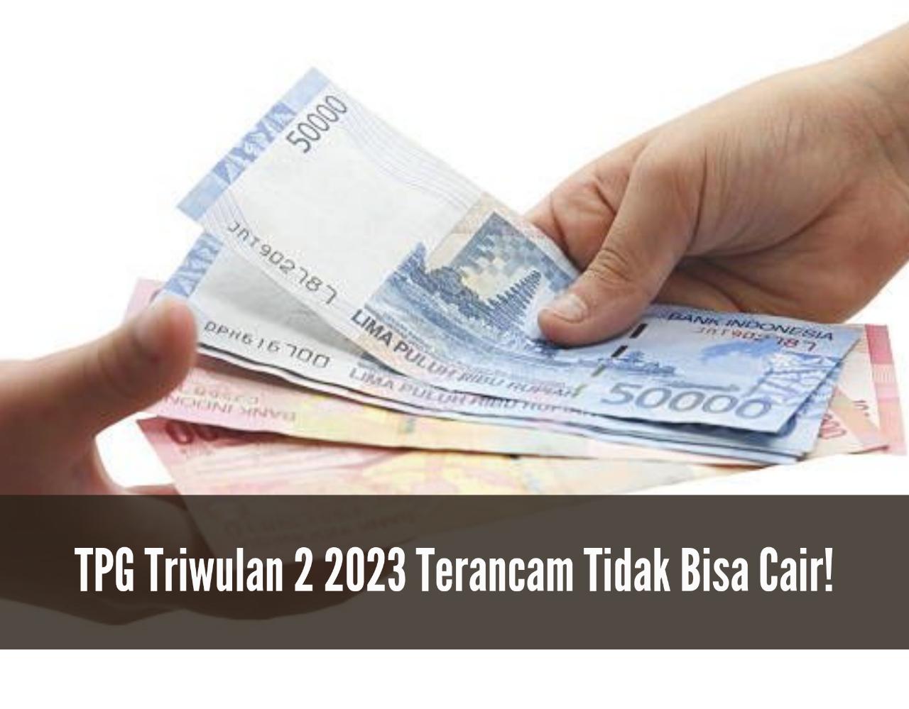 TPG Triwulan 2 2023 Terancam Tidak Bisa Cair, untuk 6 Kategori Berikut Ini!