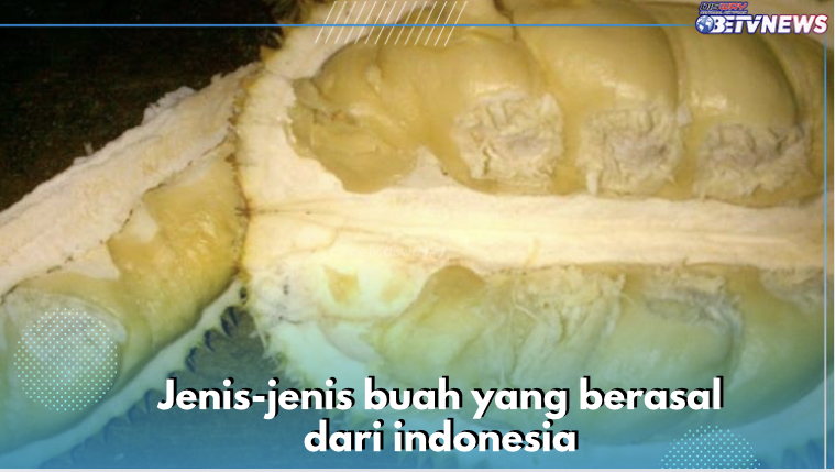 8 Jenis Buah Ini Ternyata Asli dari Indonesia, Apa Saja? Cek Sekarang