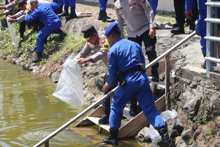 Dukung Program Presiden, Kapolda Bengkulu Tebar 30.000 Benih Ikan Nila 