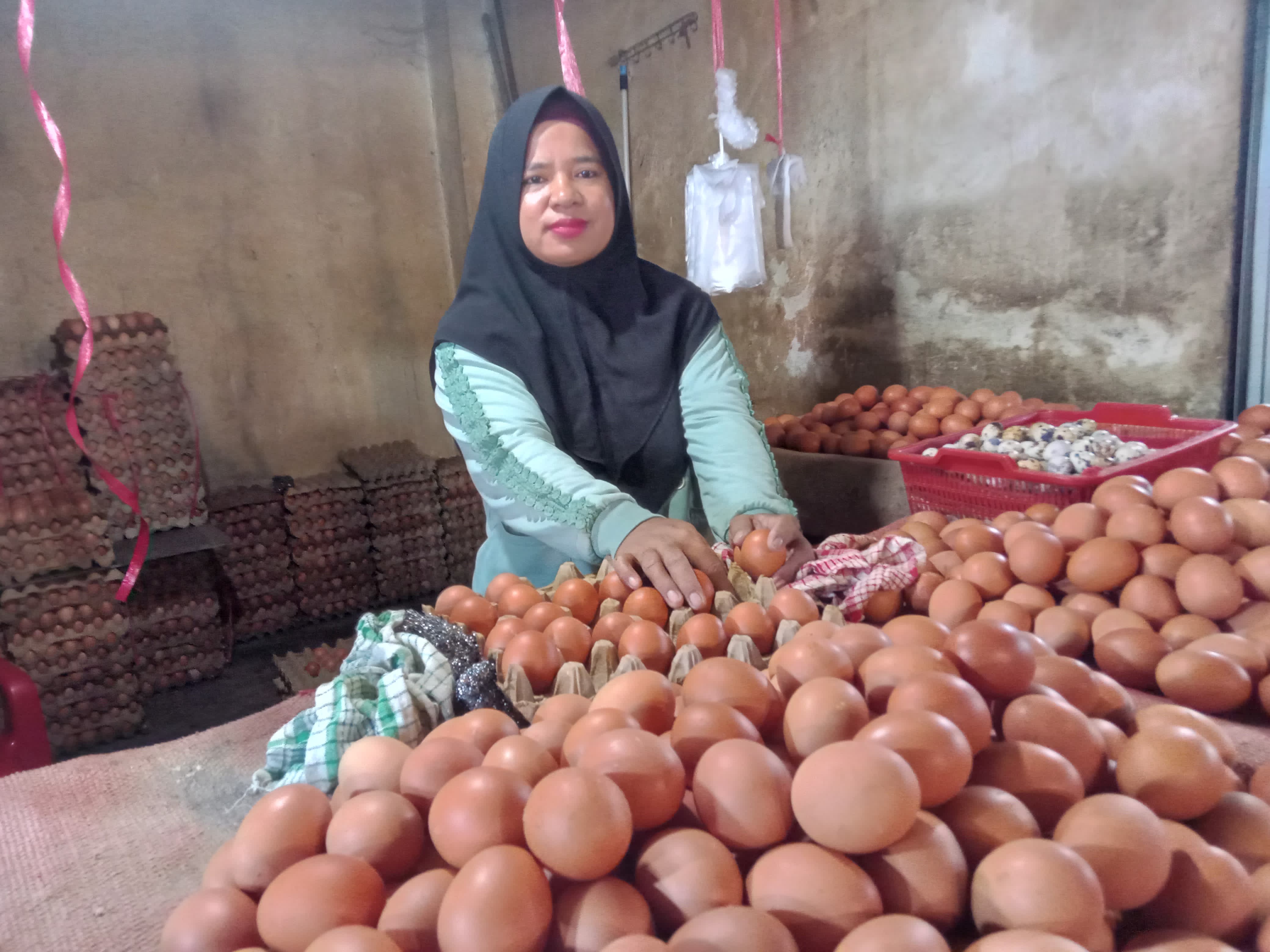 Awal Mei, Harga Telur Ayam Ras Naik, Sayuran Kompak Turun di Bengkulu 