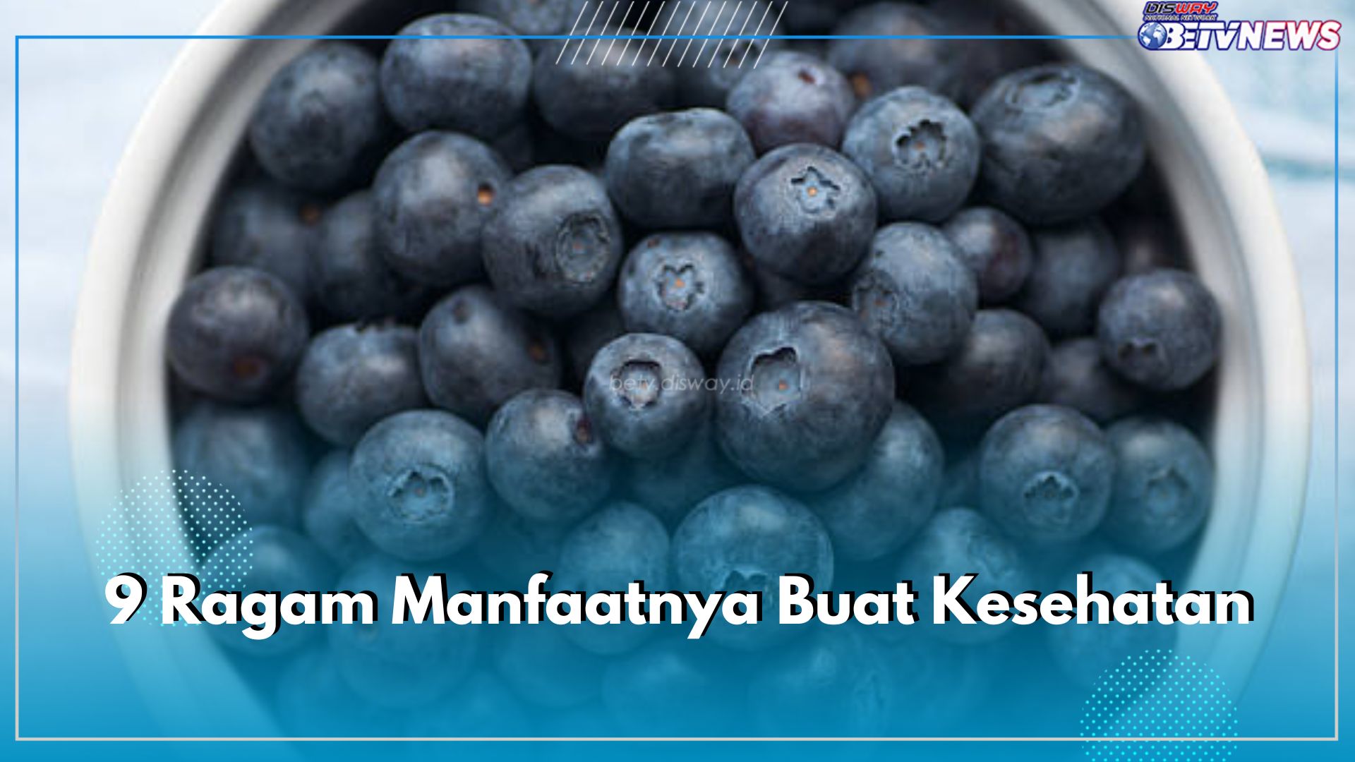 Blueberry Punya Kandungan Gizi yang Tinggi, Rasakan 9 Ragam Manfaatnya Buat Kesehatan