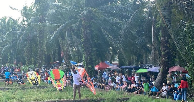 SERU! Lahan Sawah Kering di BP 1 Seluma Disulap Jadi Arena Bermain Layang-layang