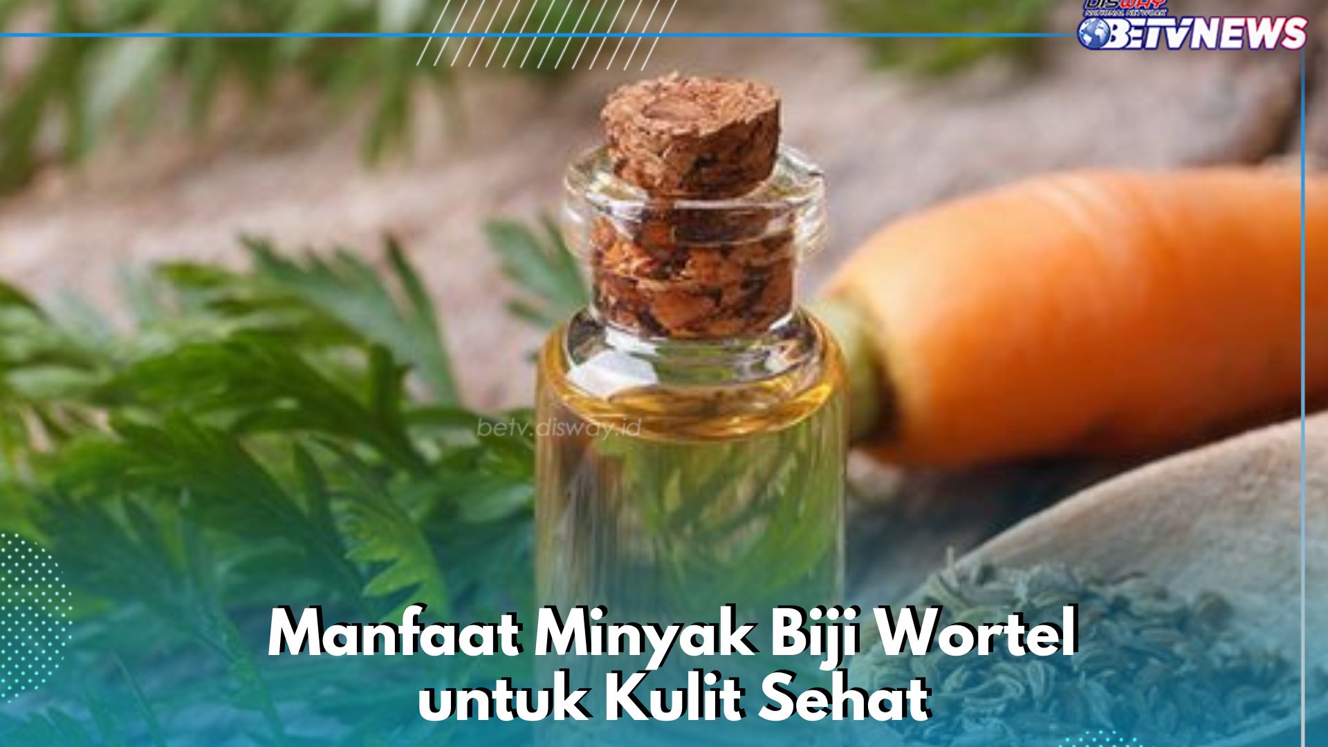 Minyak Biji Wortel Ampuh Bikin Kulit Awet Muda, Cek Manfaatnya di Sini