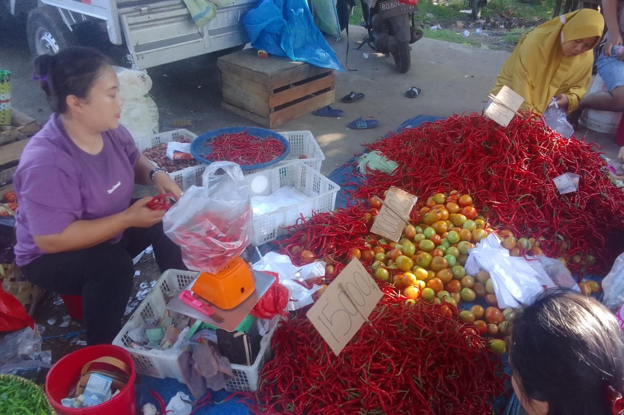 Harga Cabai Rawit Merah di Seluma Tembus Rp70 Ribu per Kilogram