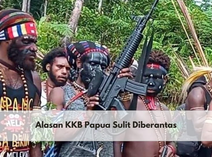 Kian Berlarut-larut, Inilah Alasan Kenapa KKB Papua Sulit untuk Diberantas, Salah Satunya Mudah Menyamar