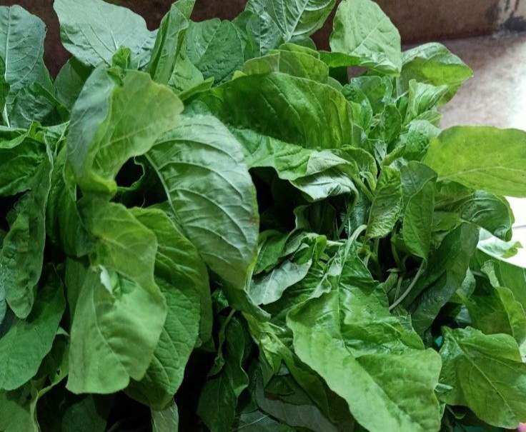 Bergizi dan Mudah Dikonsumsi, Makanan Sehat untuk Lansia yang Perlu Diketahui