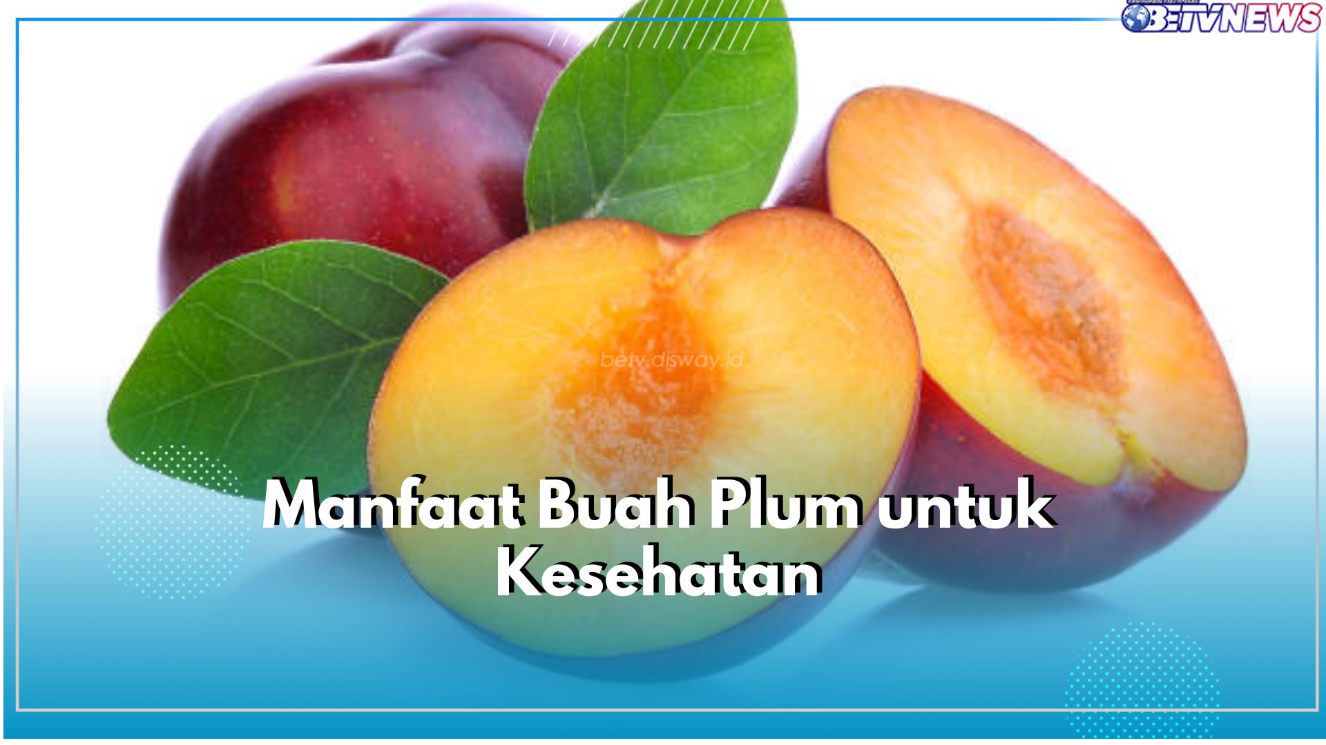 Plum Bisa Atasi Sembelit, Cek 5 Manfaat Lainnya yang Ditawarkan untuk Kesehatan di Sini!
