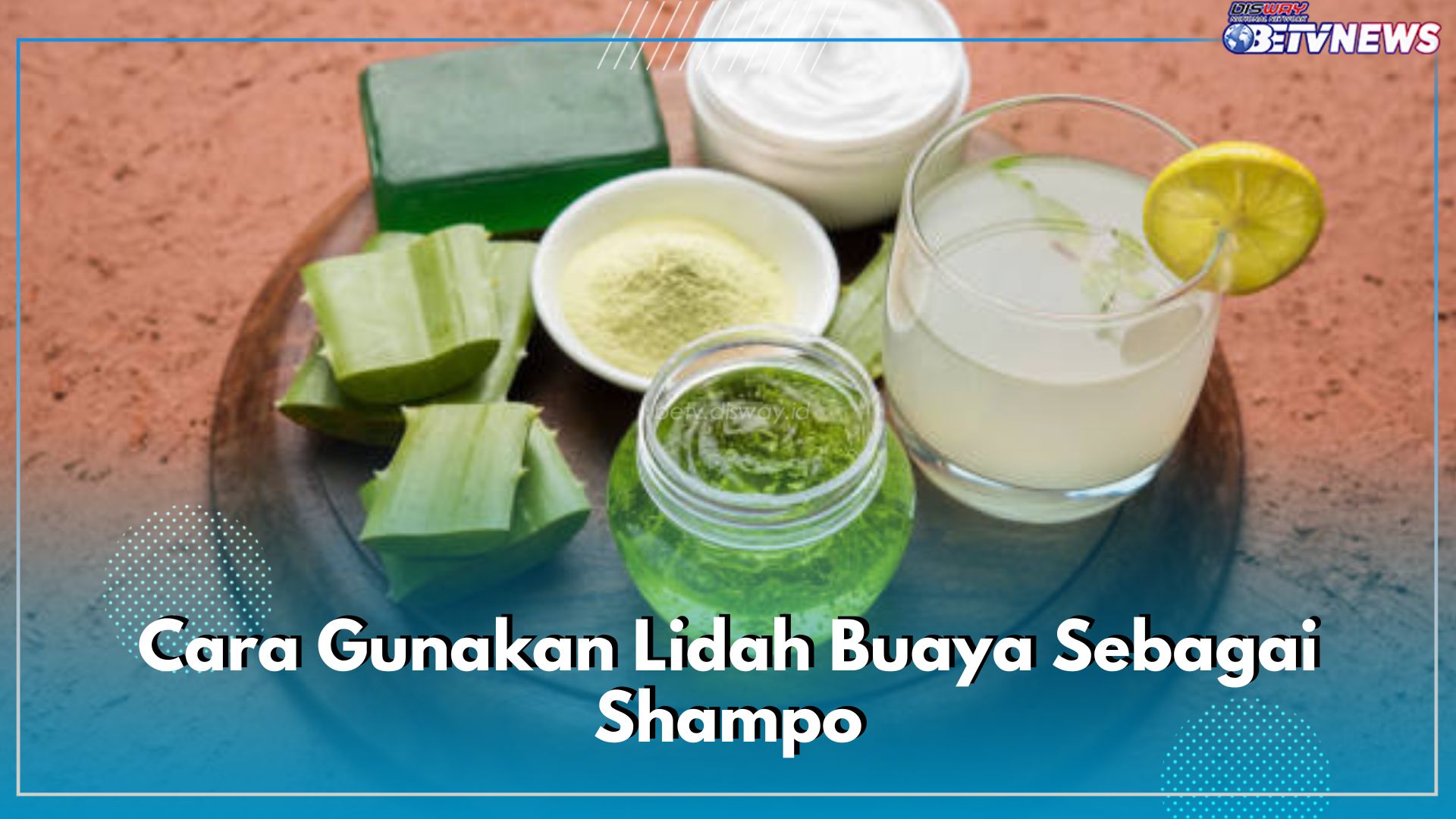 Begini Cara Gunakan Lidah Buaya Sebagai Shampo, Rasakan Manfaatnya untuk Rambut