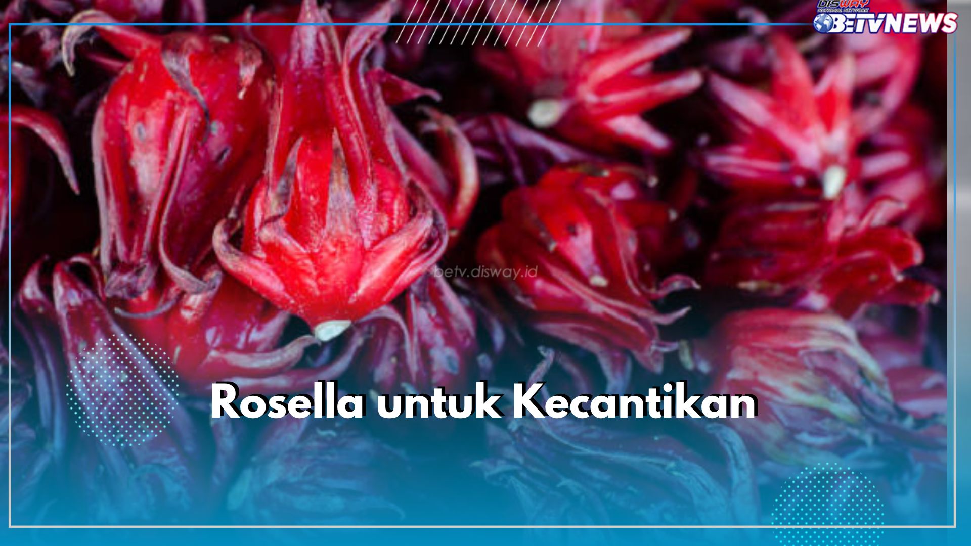 7 Manfaat Bunga Rosella Ini Jarang Diketahui, Punya Khasiat Tersembunyi untuk Kecantikan