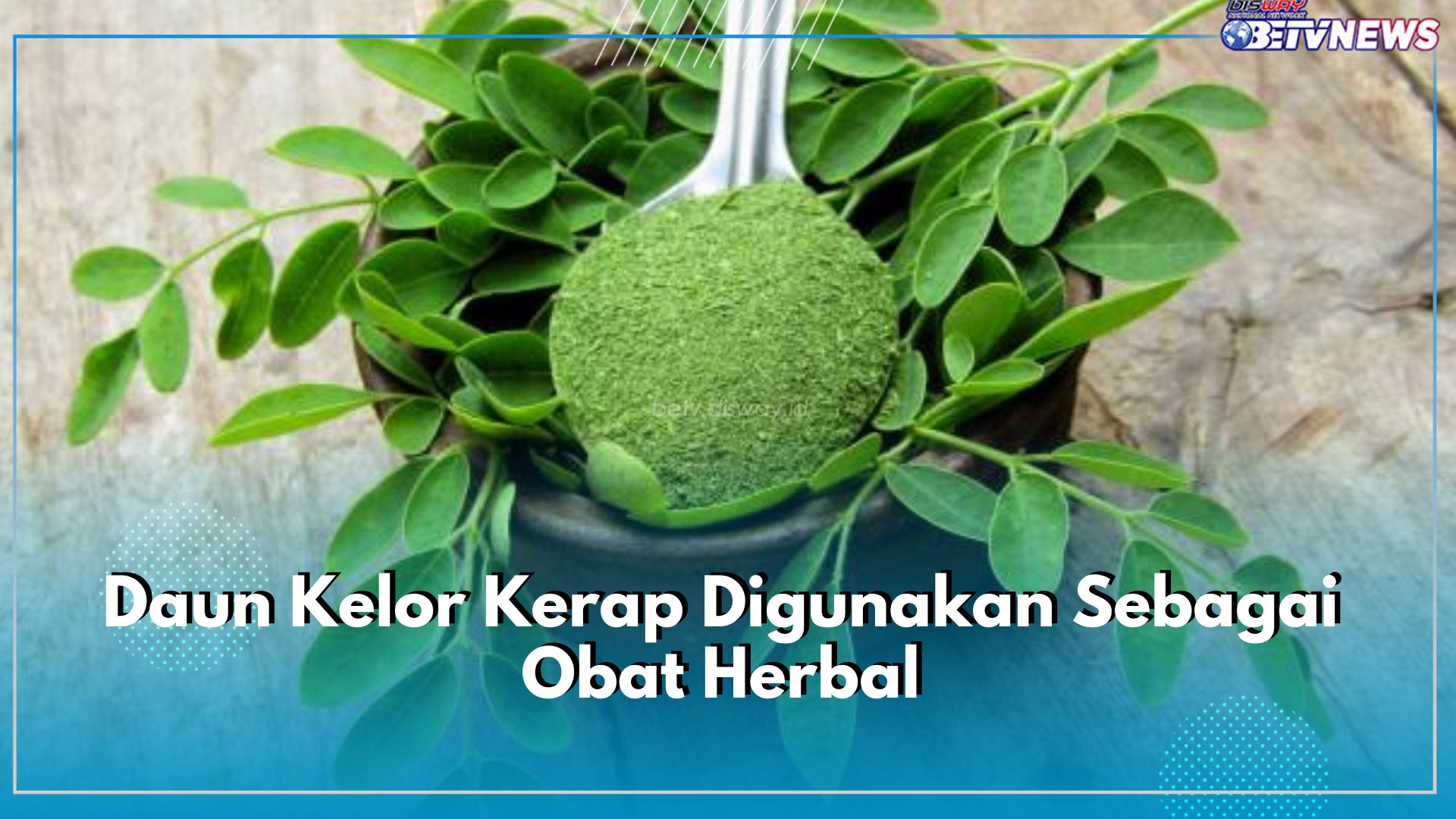 Daun Kelor Kerap Digunakan Sebagai Obat Herbal, Cek 5 Cara Mengolahnya di Sini