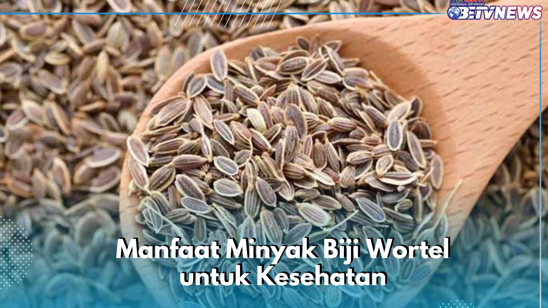 Cek Manfaat di Sini! Minyak Biji Wortel Ampuh Mencegah Kulit dari Infeksi Bakteri