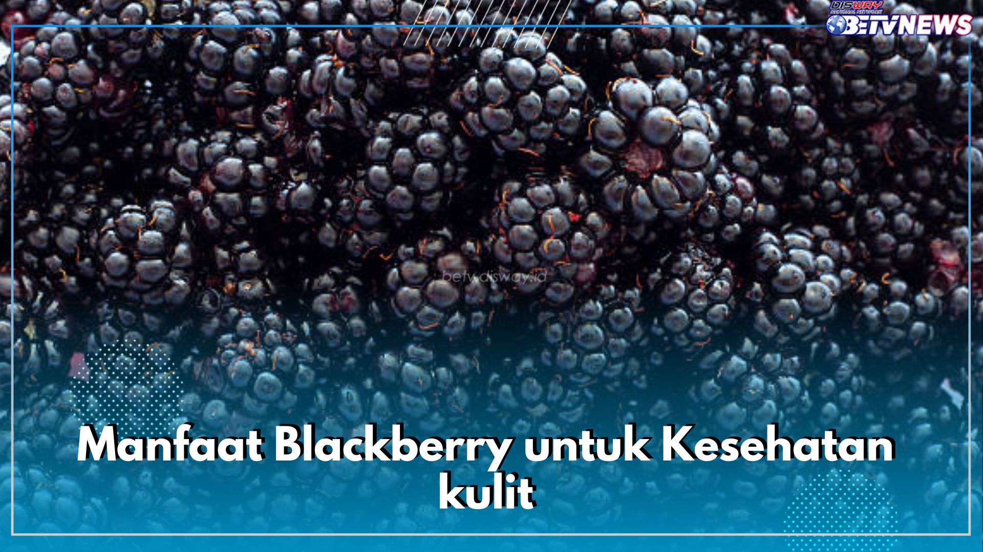 Menjaga Kesehatan Kulit Wajah, Ini Sederet Manfaat Mengonsumsi Buah Blackberry Secara Rutin Untuk Kecantikan