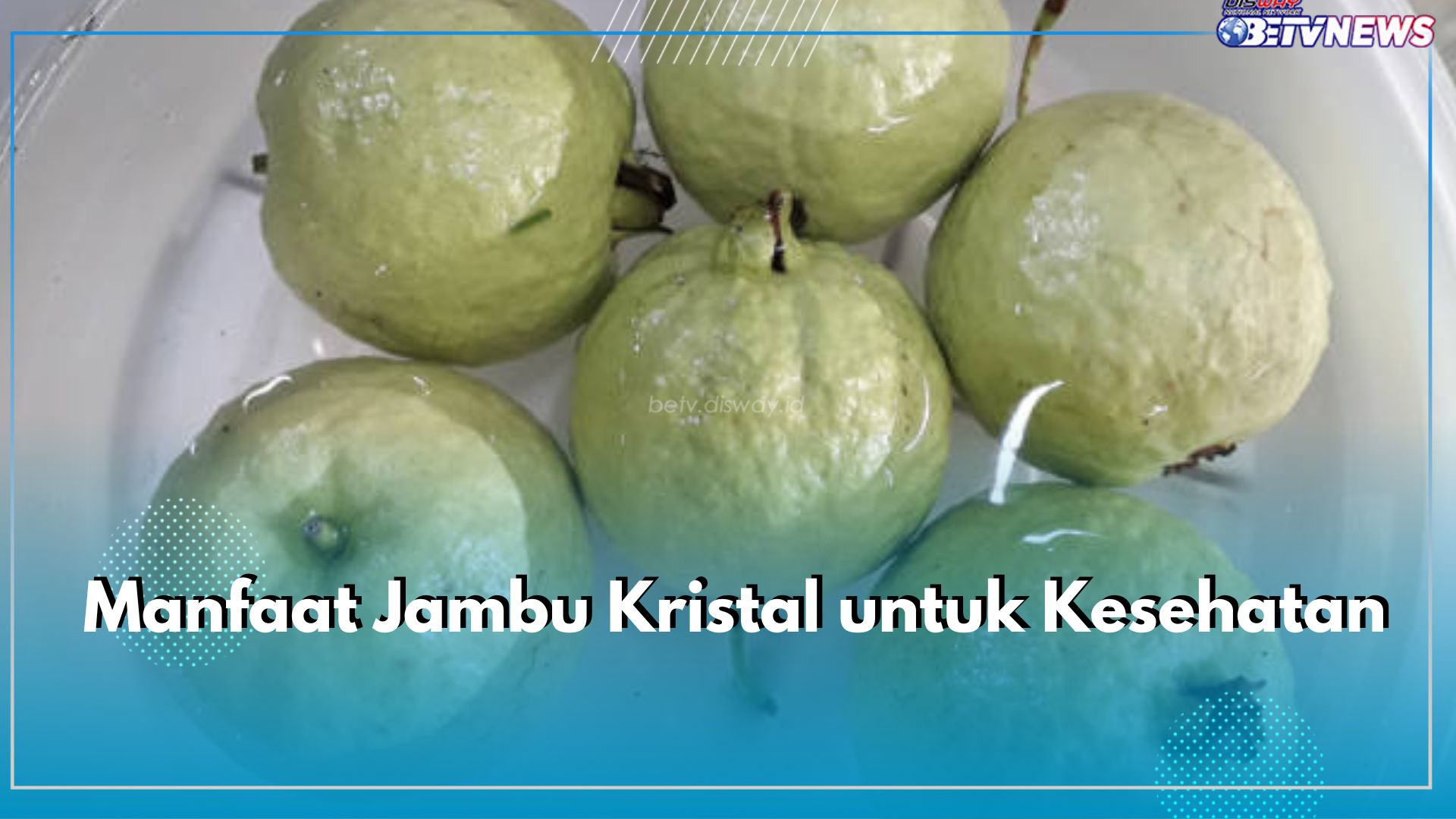 Khasiat Luar Biasa Jambu Kristal untuk Kesehatan, Cek di Sini Ragam Manfaatnya!