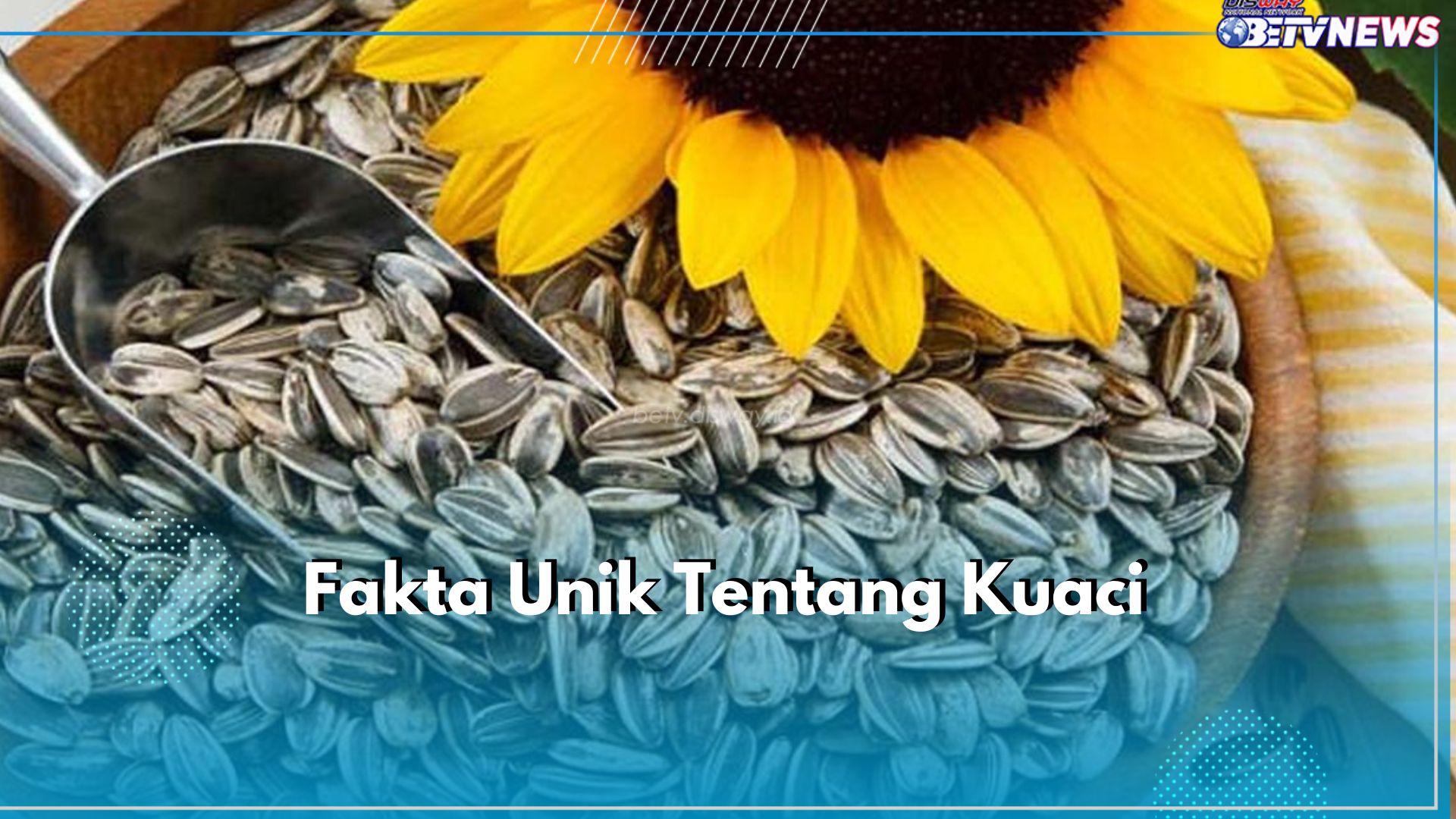 6 Fakta Unik Kuaci yang Perlu Kamu Ketahui, Ternyata Punya Banyak Jenis