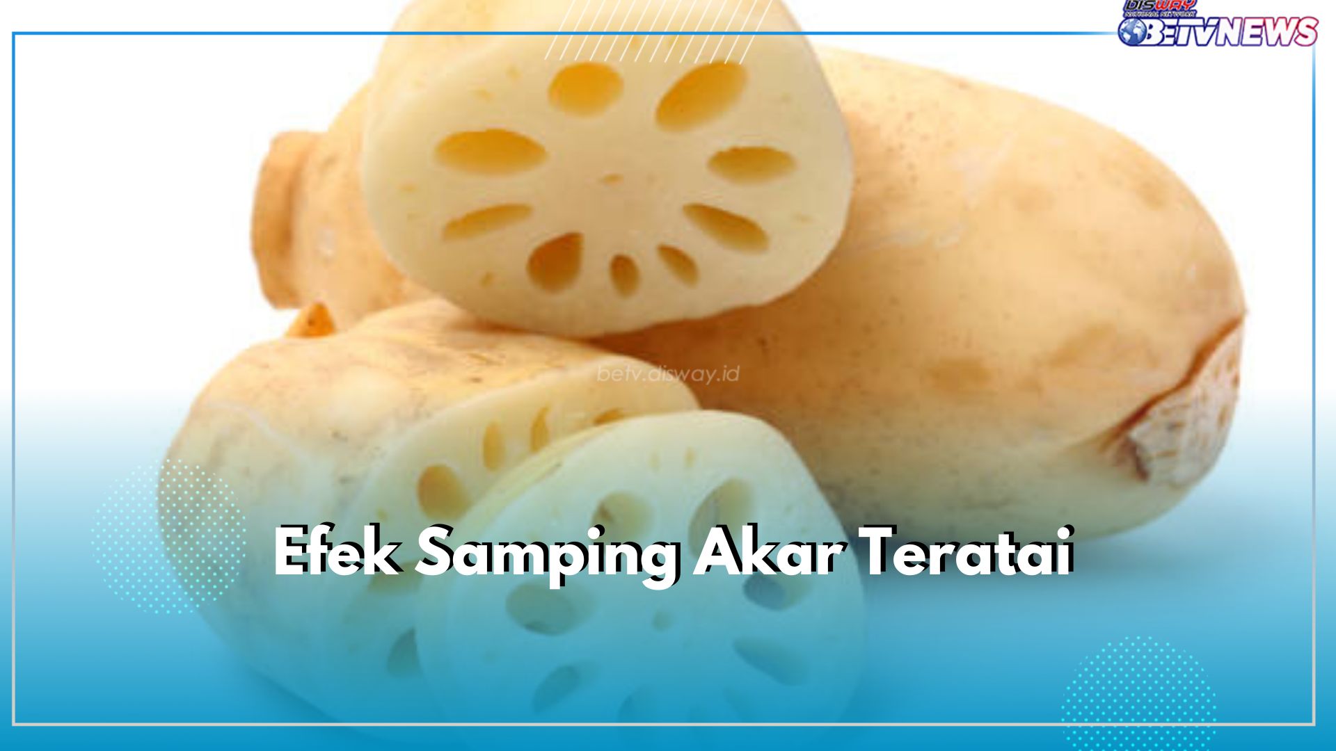 Sering Diolah Menjadi Masakan, Kenali 6 Efek Samping Akar Teratai Ketika Dikonsumsi Berlebihan