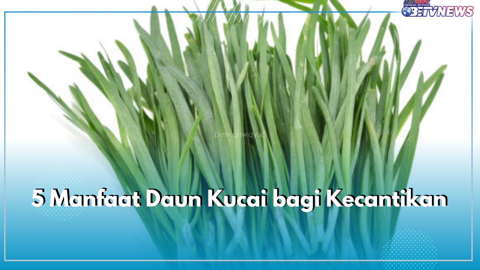 Ini 5 Manfaat Daun Kucai bagi Kecantikan, Berikut Cara Mengolahnya untuk Perawatan