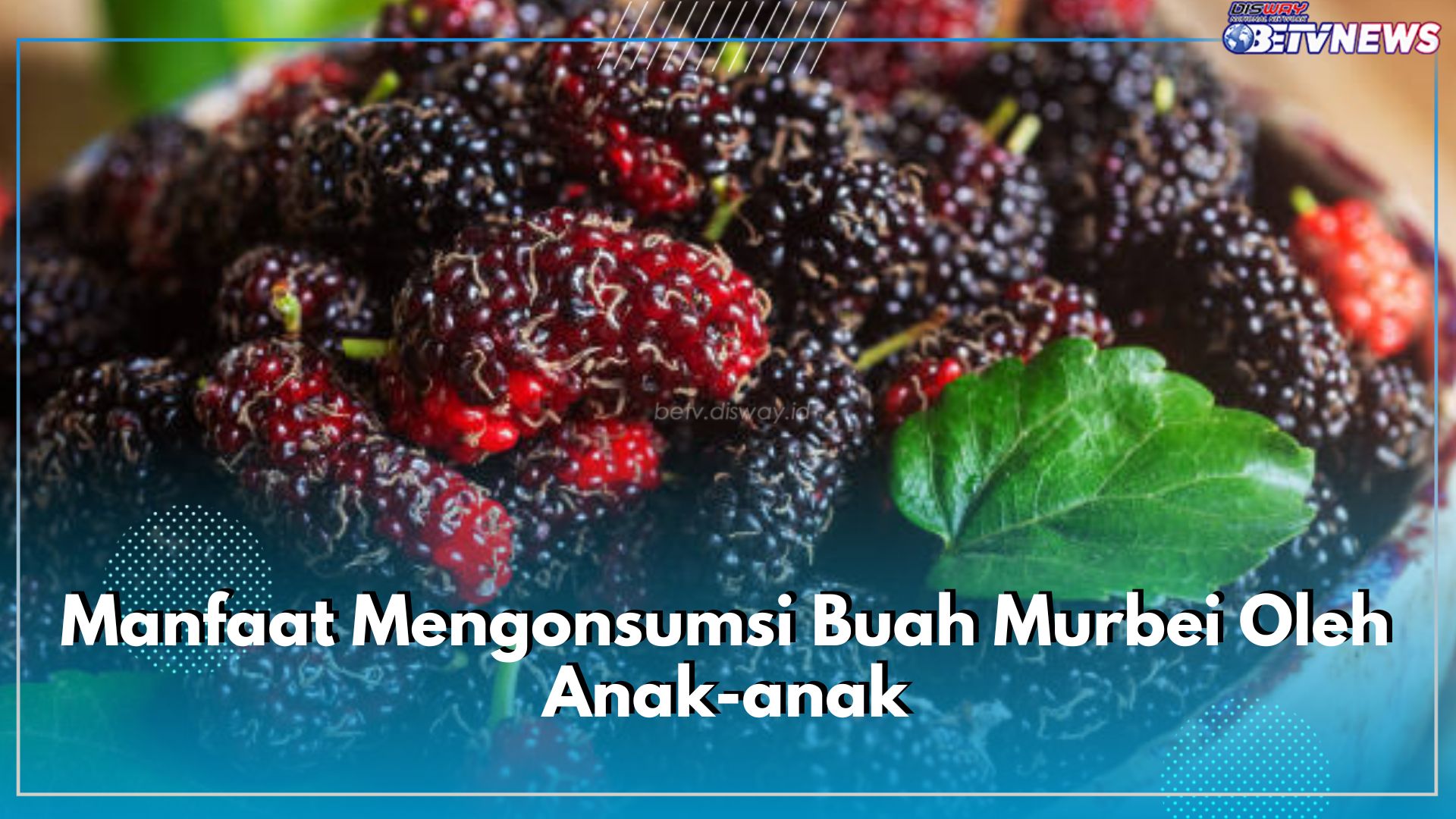 Bagus Meningkatkan Kecerdasan Otak, Ini Dia 10 Manfaat Mengonsumsi Buah Murbei Oleh Anak-anak