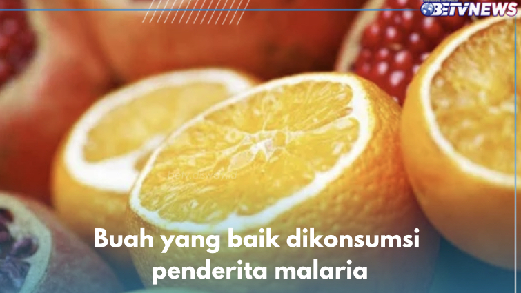 Baik Bagi Penderita Malaria , Ini 5 Jenis Buah yang Ampuh Usir Parasit dari Gigitan Nyamuk Anopheles