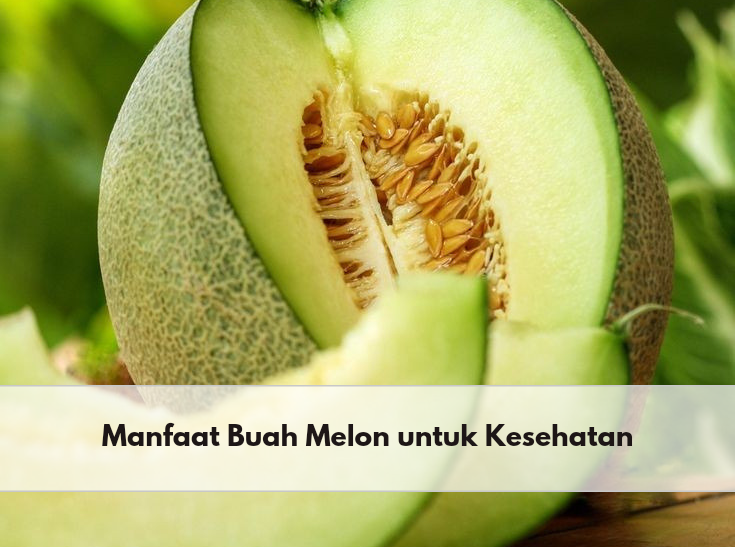 Baik Untuk Pencernaan, Intip Sederet Manfaat Buah Melon untuk Kesehatan Tubuh Ini, Cek Juga Kandungannya
