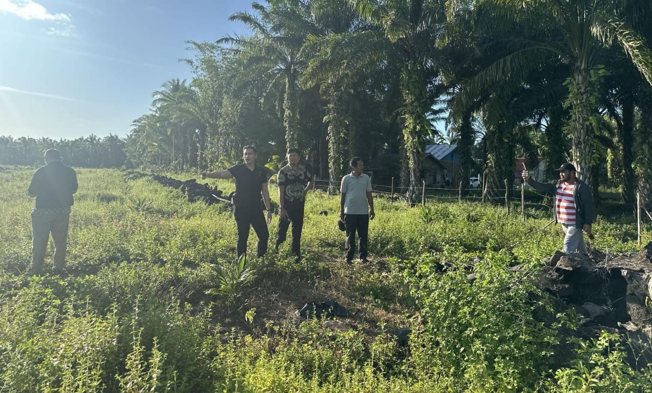 Program Ketahanan Pangan, Dinas Pertanian Gandeng Polres Seluma Manfaatkan Lahan Eks Replanting Sawit