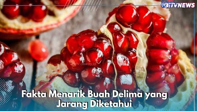 Fakta Menarik Buah Delima yang Jarang Diketahui, Salah Satunya Punya Antioksidan Tinggi