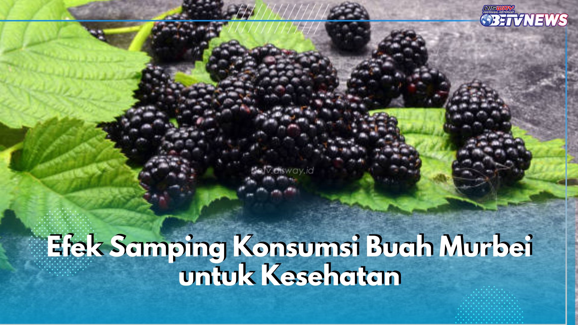 Jangan Kalap! Ini 5 Efek Samping Konsumsi Buah Murbei Berlebihan, Bisa Berefek Buruk pada Hati