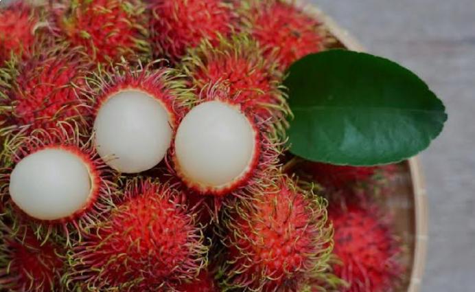 4 Manfaat Buah Rambutan untuk Ibu Hamil, Bisa Membantu Pembentukan Tulang Janin, Ini Penjelasannya!