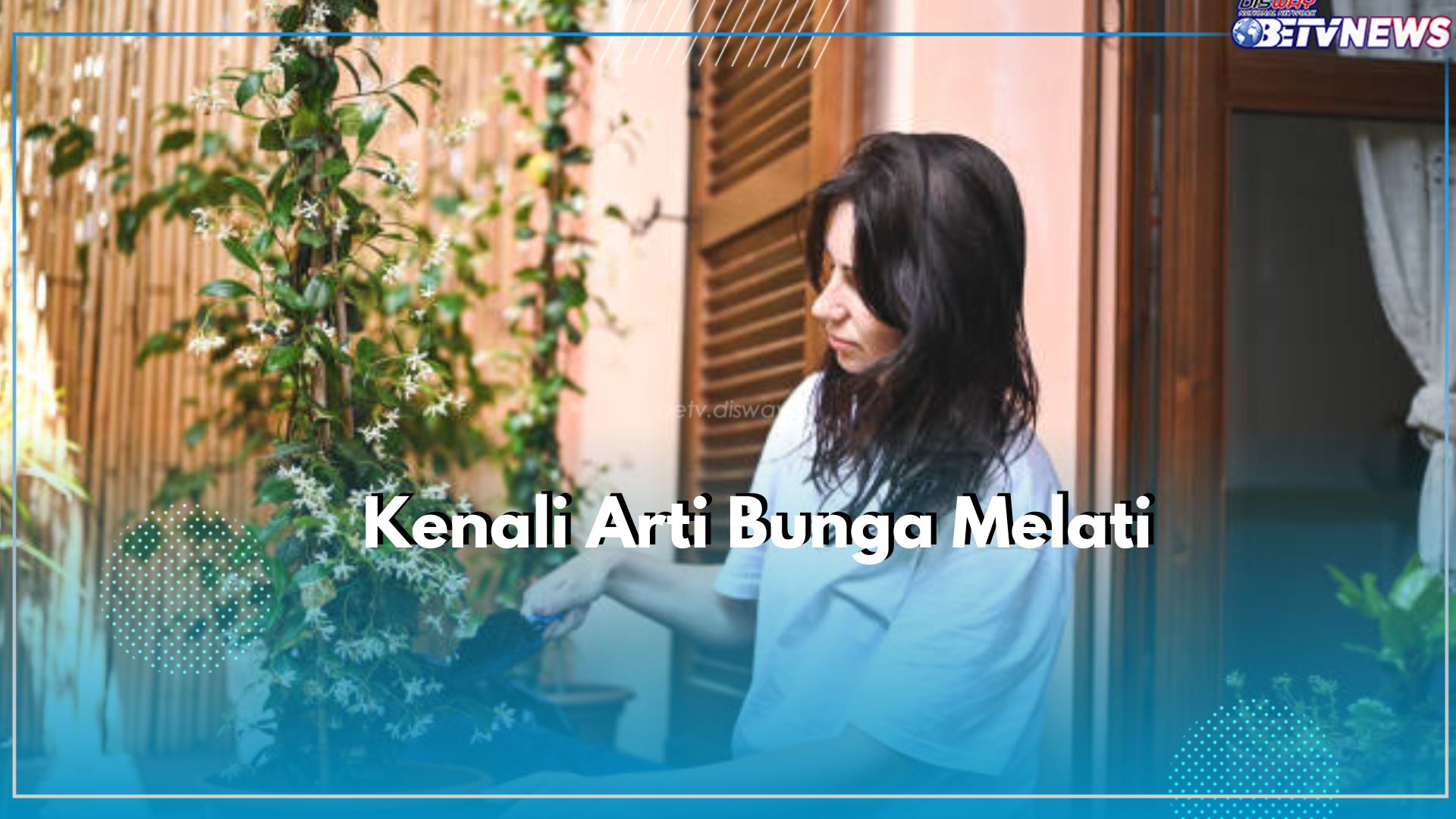 Sering Dijadikan Sebagai Lambang Kesucian, Apa Arti Bunga Melati? Klaim Disini!