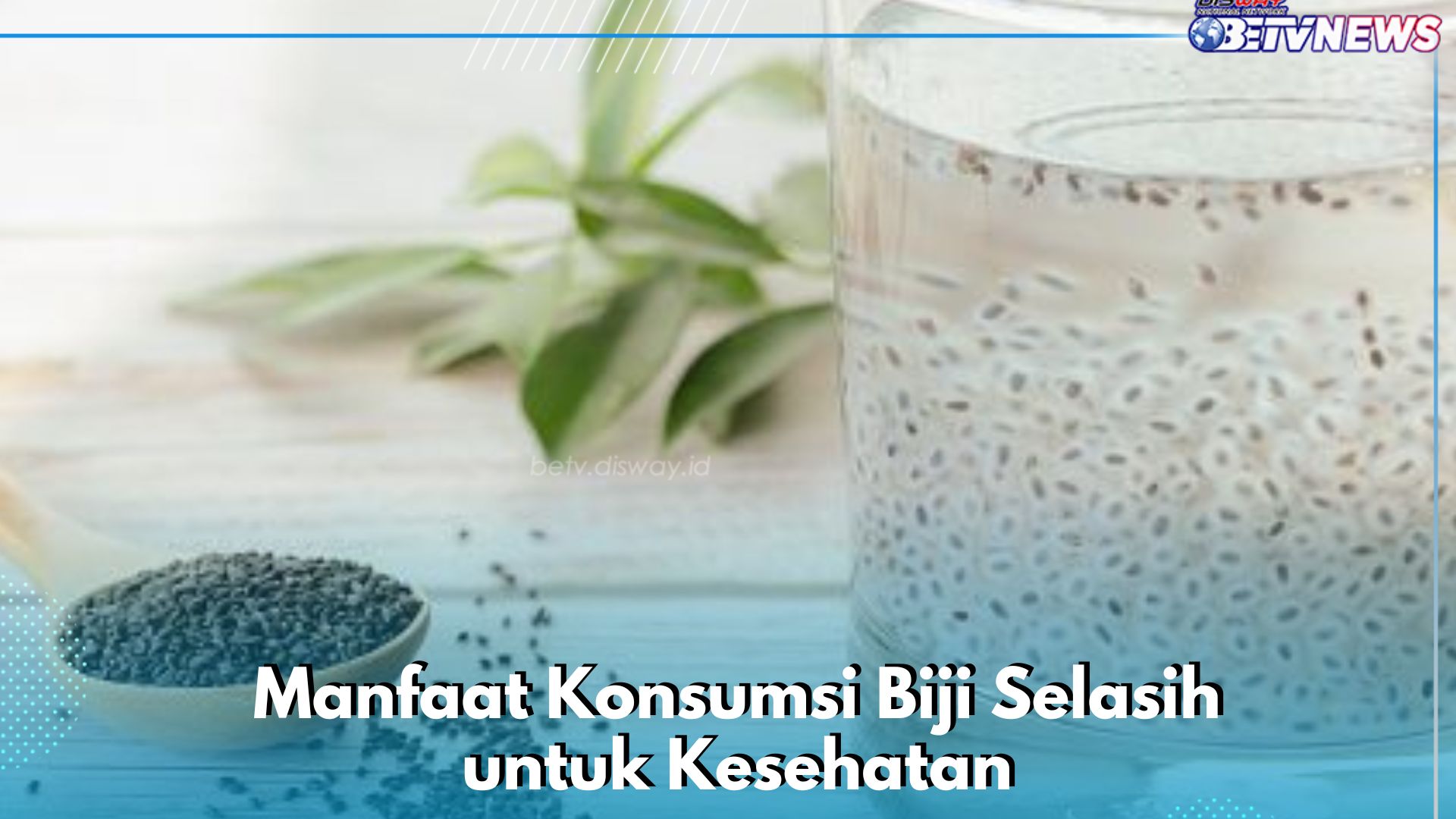 Konsumsi Selasih Aman untuk Penderita Diabetes, Cek Manfaatnya di Sini