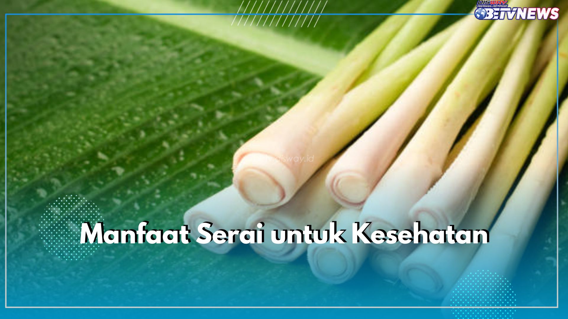 5 Manfaat Serai untuk Kesehatan yang Perlu Kamu Ketahui, Bisa Jadi Agen Detox Tubuh Dari Racun