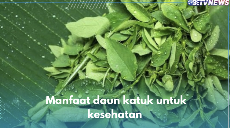 5 Manfaat Sayur Katuk untuk Kesehatan, Kandungannya Bisa Tingkatkan Produksi ASI hingga Atasi Peradangan