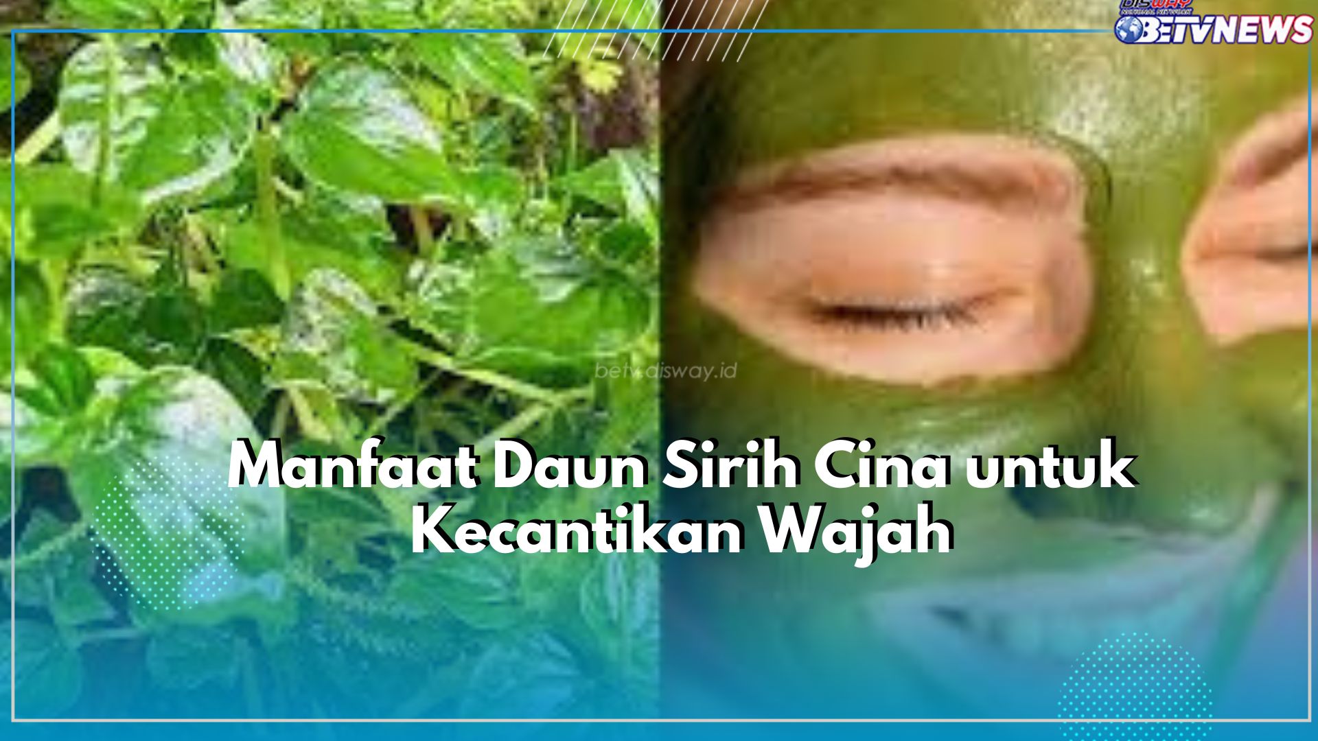 Ketahui Manfaat Luar Biasa yang Tersimpan Dalam Daun Sirih Cina untuk Kecantikan Wajah, Cek Disini!!
