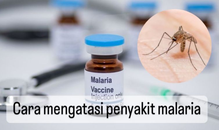 Jangan Sampai Terlambat! Ini 7 Cara Mengatasi Penyakit Malaria, Nomor 1 Konsumsi Obat