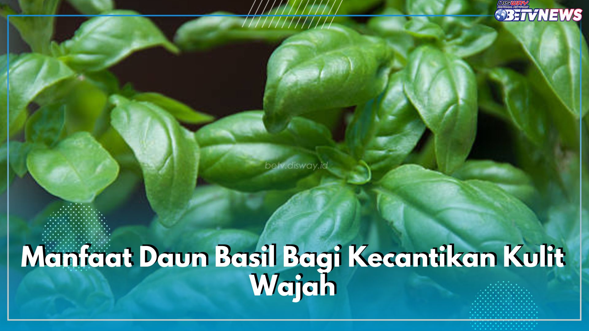 Mengatasi Kulit Kering Hingga Jerawat, Inilah 7 Manfaat Daun Basil untuk Kecantikan Kulit Wajah