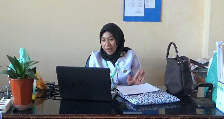 11 Warga di Kaur Terkonfirmasi Demam Berdarah Sepanjang 2023