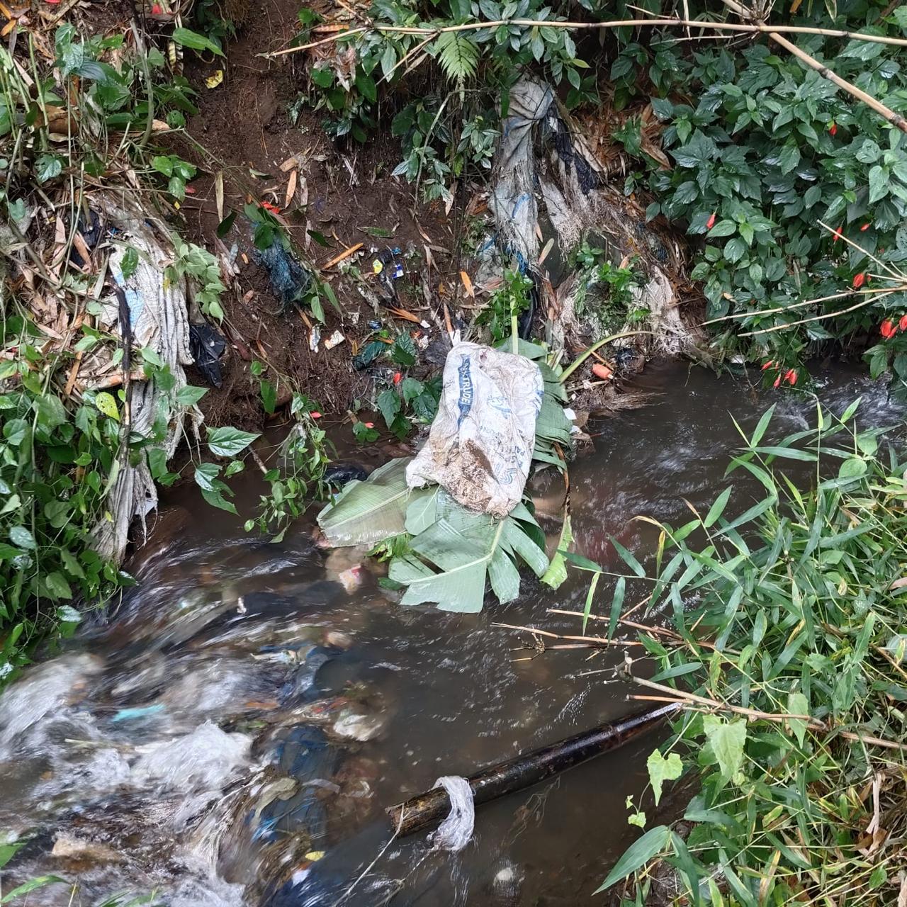 BREAKING NEWS: Wanita Lansia di Rejang Lebong Ditemukan Tewas Mengapung di Sungai