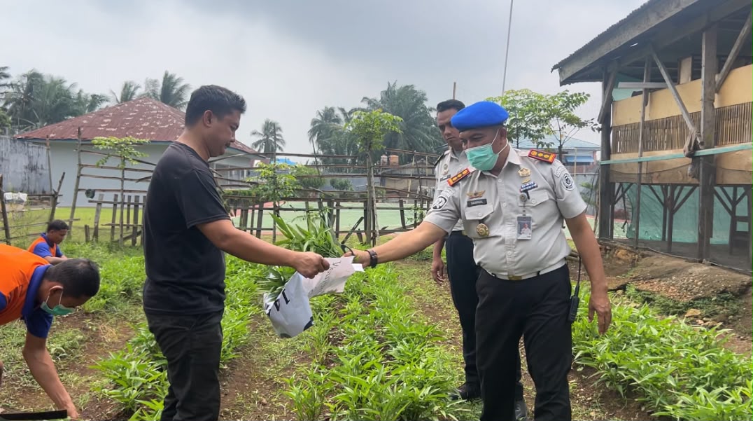 Panen Perdana Program Ketahanan Pangan Rutan Manna, Hasil Pertanian Capai 40 Kilogram