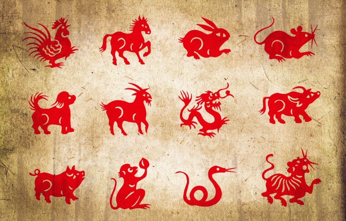 Strategi Cuan Shio Hari Ini: Waktunya Shio Naga Ekspansi, Shio Kerbau Harap Tahan Diri!