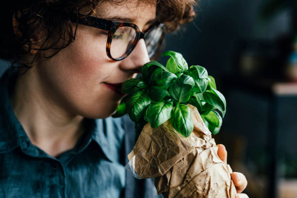 Daun Rempah dengan Segudang Nutrisi, Cek Apa Saja Manfaat Daun Basil untuk Ibu hamil di Sini