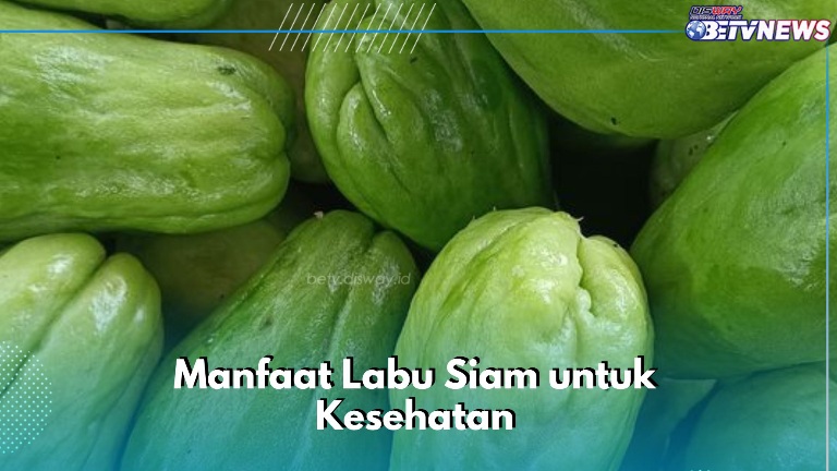 Cek Manfaat di Sini! Labu Siam Bisa Mengontrol Berat Badan, Cukup Konsumsi Secara Rutin