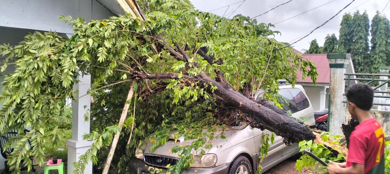 Pohon Tumbang Timpa Mobil dan Rumah Dinas Jaksa Kejati Bengkulu