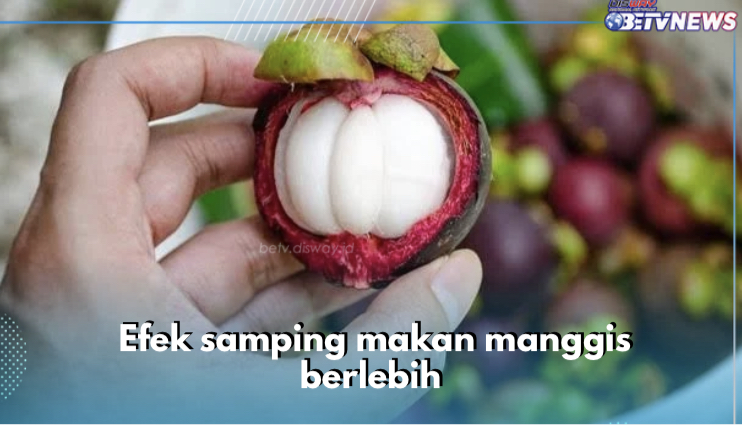 Bisa Perlambat Pembekuan Darah, Ini 4 Efek Samping Makan Buah Manggis Berlebih