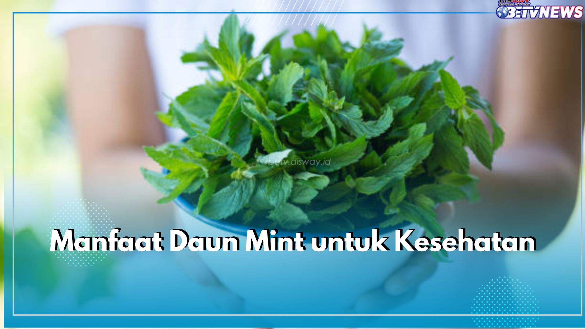 5 Manfaat Daun Mint untuk Kesehatan yang Tak Boleh Dilewatkan, Ampuh Kurangi Stres, Lho!