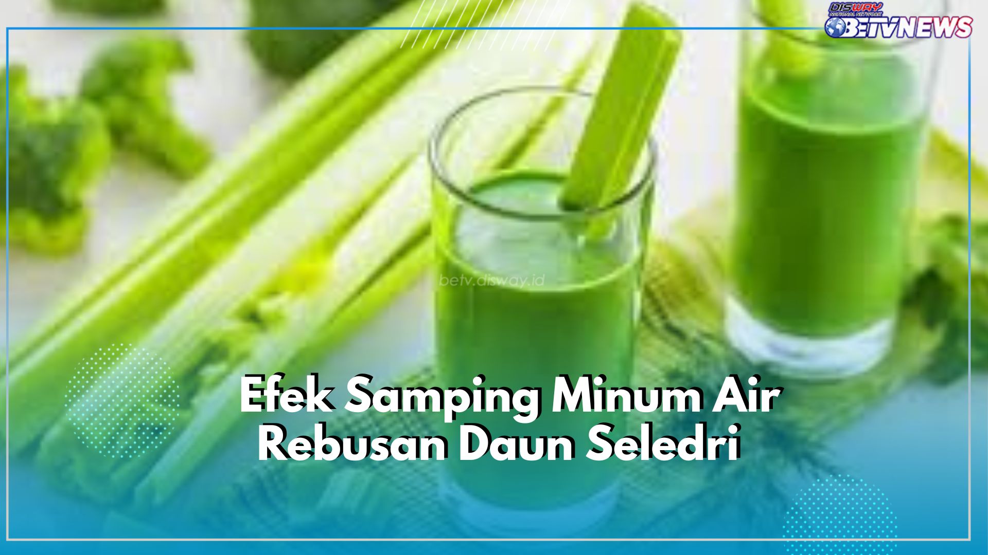 Timbulkan Alergi hingga Hipertensi, Cek Efek Samping Minum Air Rebusan Daun Seledri Secara Berlebihan